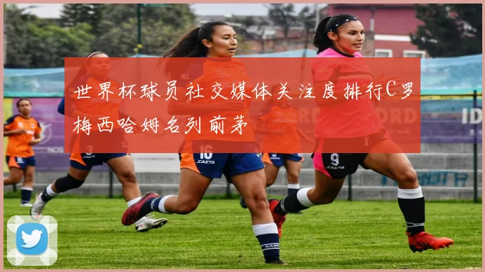 世界杯球员社交媒体关注度排行C罗梅西哈姆名列前茅